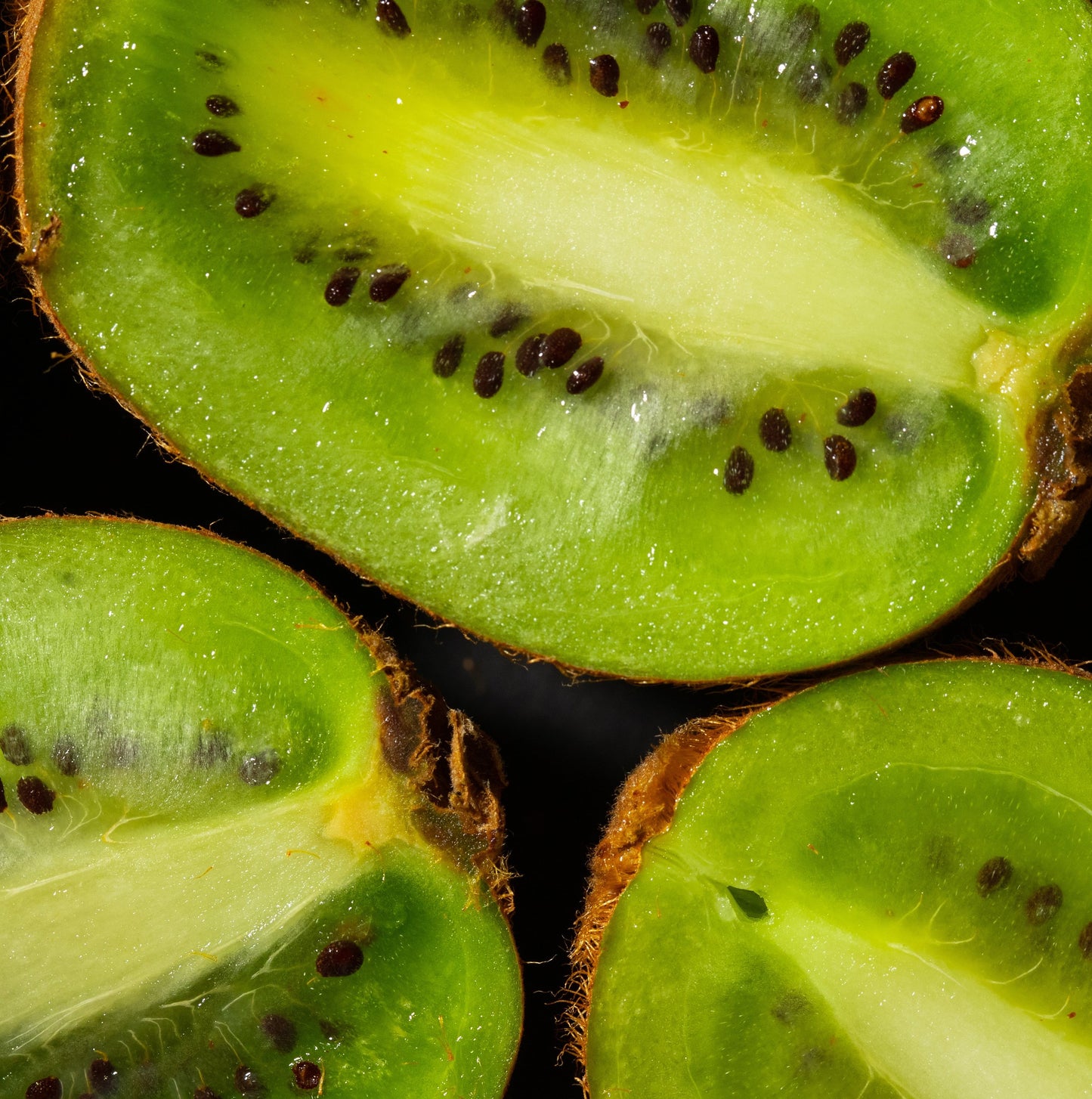 PROJECT KIWI