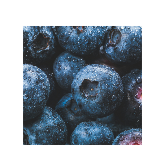 PROJECT BLUEBERRY (COMING SOON)