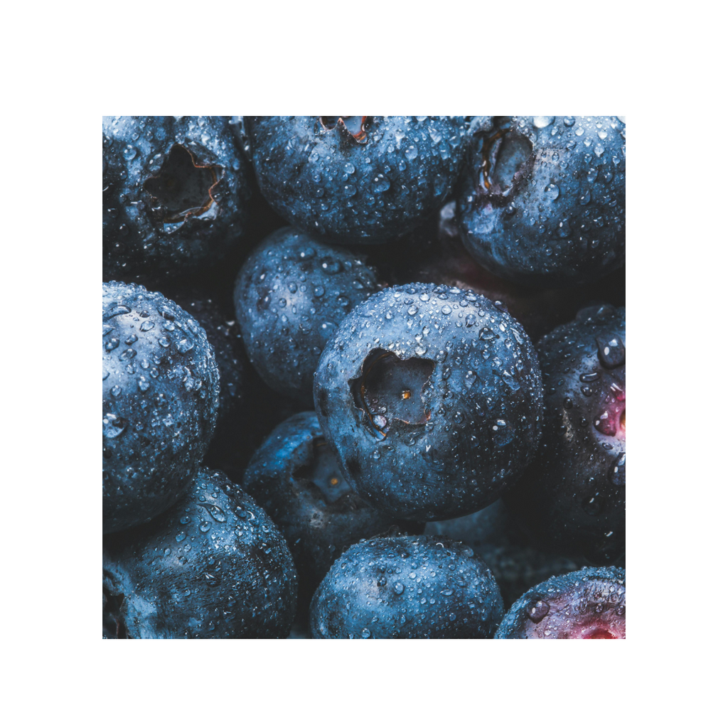 PROJECT BLUEBERRY (COMING SOON)